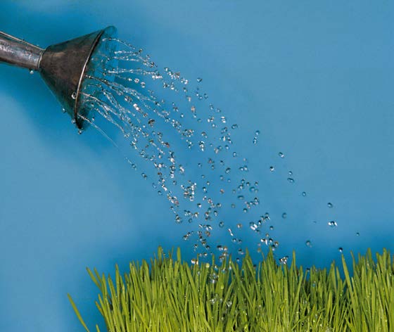 Expansion, Quelle: Thinkstock